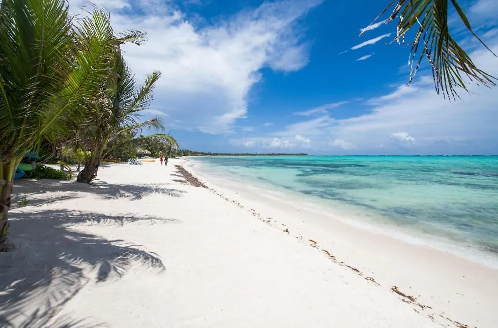 Mansion Villa In Soliman Bay For 34 Guests! Tulum Pueblo Vakantiehuis