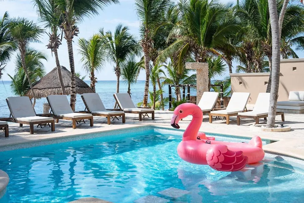 Vakantiehuis Mansion Villa In Soliman Bay For 34 Guests! Tulum Pueblo Mexico